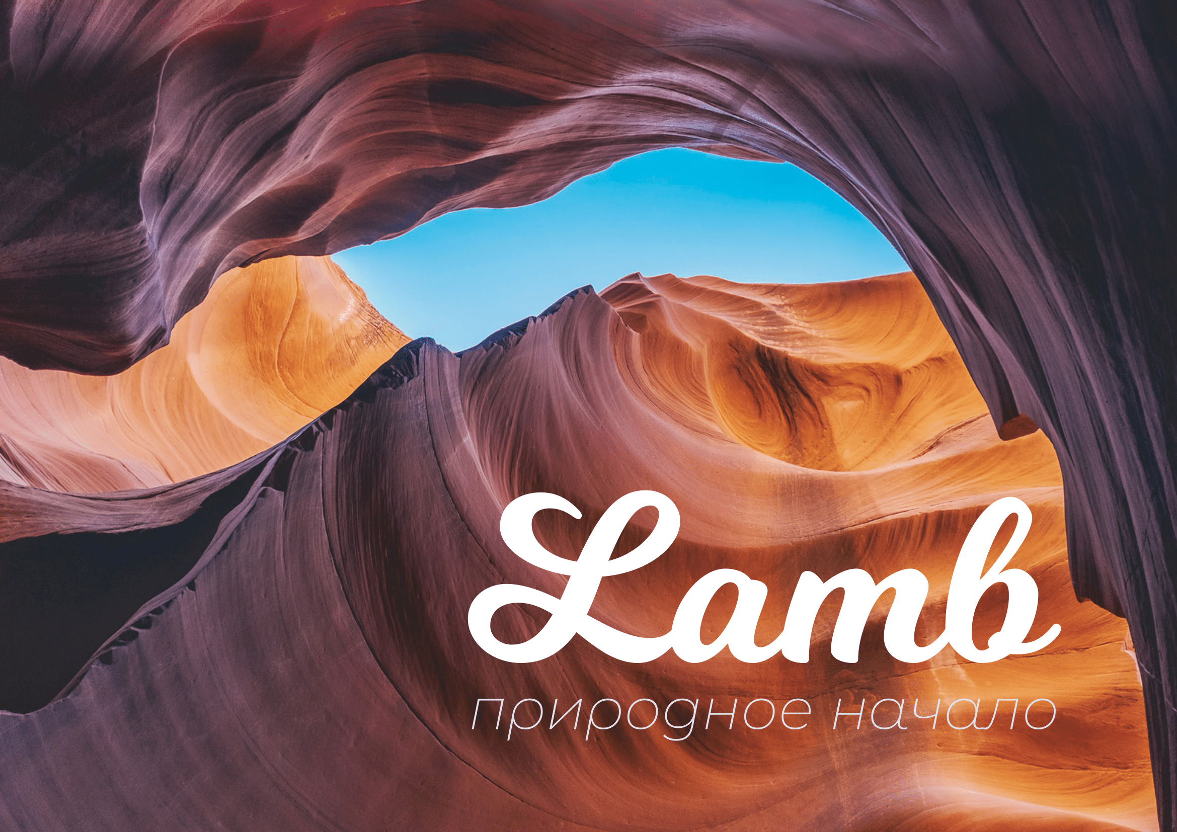 Фотография Ткань LAMB cream от магазина Delicatex